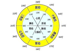 海南红妆学校十二经络与问题性皮肤的美容关系