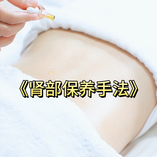 525肾部.png